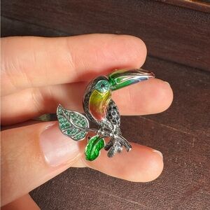Colorful Toucan Brooch